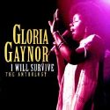 Gloria Gaynor - I Will Survive