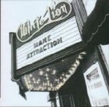 White Lion - Mane Attraction