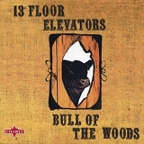 13th Floor Elevators - Bull of the Woods