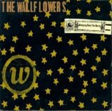 The Wallflowers - Bringing Down The Horse