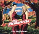 The Hazzards - Gay Boyfriend