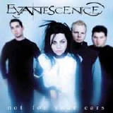 Evanescence - Not For Your Ears