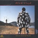 Pink Floyd - Delicate Sound Of Thunder