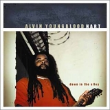 Alvin Youngblood Hart - Down in the Alley