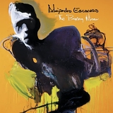 Alejandro Escovedo - Boxing Mirror