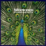 The Bluetones - Expecting to Fly