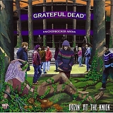 The Grateful Dead - Dozin' At The Knick