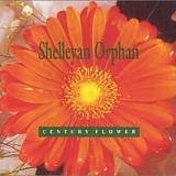 Shelleyan Orphan - Century Flower