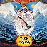 Steve Hillage - Fish Rising