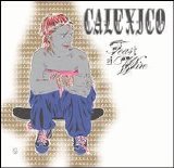 Calexico - A Feast Of Wire