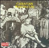 Caravan - Waterloo Lily