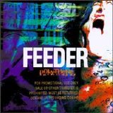 Feeder - Polythene