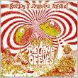 Gorky's Zygotic Mynci - The Game Of Eyes EP