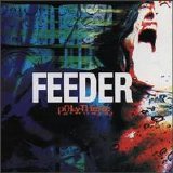 Feeder - Polythene