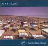 Pink Floyd - A Momentary Lapse Of Reason