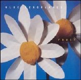 Blue Aeroplanes - Fruit