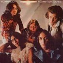 The Flamin' Groovies - Flamingo