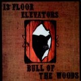 13th Floor Elevators - Bull Of The Woods (1968)