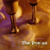 The Posies - Frosting On The Beater