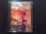 Cyndi Lauper - True Colors