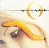 A Perfect Circle - Thirteenth Step