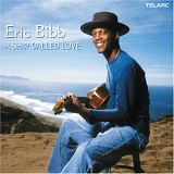 Eric Bibb - A Ship Called Love