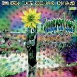 Jimmy Herring T Lavitz Richie Hayward Kenny Gradney - Endangered Species