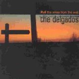 The Delgados - Pull the Wires From the Wall