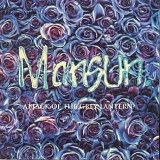 Mansun - Attack Of The Grey Lantern