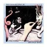 The Chameleons UK - Strange Times