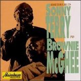 Sonny Terry & Brownie McGhee - Hometown Blues