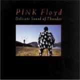 Pink Floyd - Delicate Sound Of Thunder