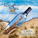 The Barry Sea Paradox - Lost Soul Found Smooth Jazz