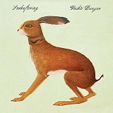 Vashti Bunyan - Lookaftering