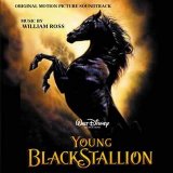 William Ross - Young Black Stallion