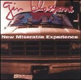 Gin Blossoms - New Miserable Experience