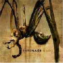 Interlace - Imago