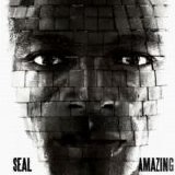 Seal - Amazing - Single