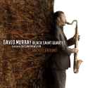 David Murray - Sacred Ground