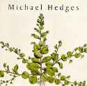 Michael Hedges - Taproot