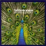 The Bluetones - Expecting To Fly