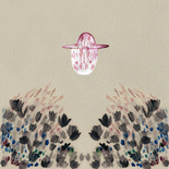 Devendra Banhart - Smokey Rolls Down Thunder Canyon