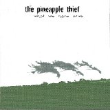 The Pineapple Thief - What We Have Sown