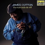 James Cotton - Fire Down Under The Hill