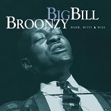 Big Bill Broonzy - Warm Witty & Wise