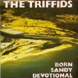 Triffids - Born Sandy Devotional