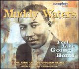 Muddy Waters - Feel Like Going Home