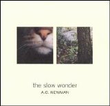 A.C. Newman - The slow wonder