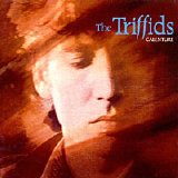 Triffids - Calenture