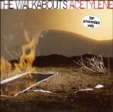 The Walkabouts - Acetylene